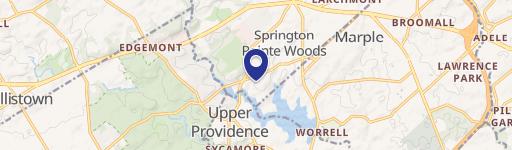 3 Springton Pointe Dr