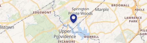 9 Springton Pointe Dr