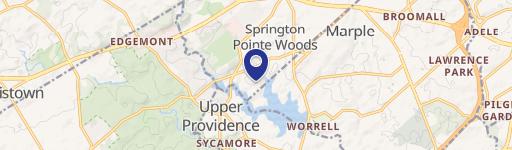 14 Springton Pointe Dr