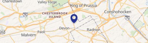 295 Old Eagle School Rd