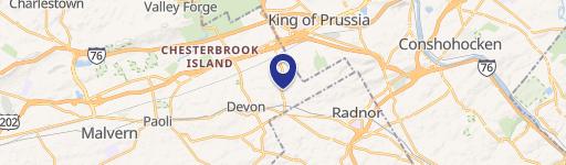 287 Old Eagle School Rd