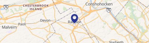 259 Radnor Chester Rd