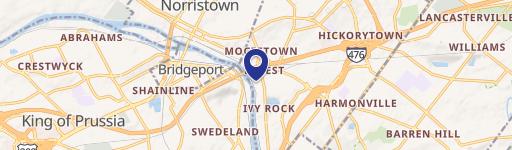 1306 Conshohocken Rd