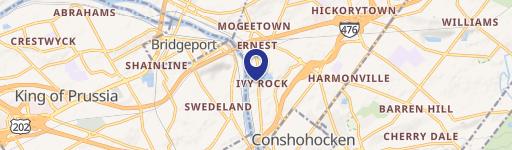 1036 Conshohocken Rd, Unit 2