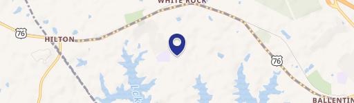 1022 Forrest Shealy Rd