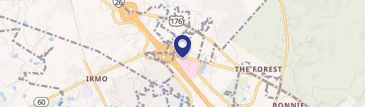 100 Palmetto Stakes Dr