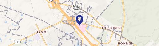 100 Palmetto Stakes Dr