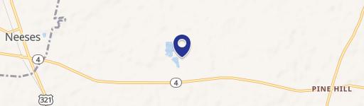 Neeses Cp Rd