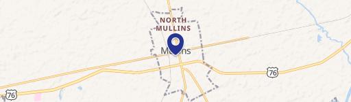 Mullins, SC 29574