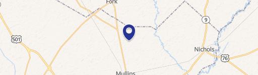 Mullins, SC 29574