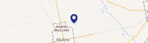 Mullins, SC 29574
