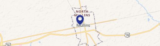 Mullins, SC 29574