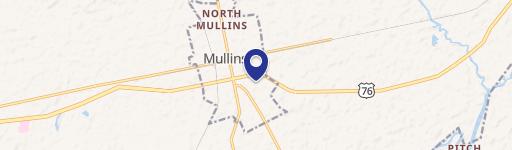 Mullins, SC 29574
