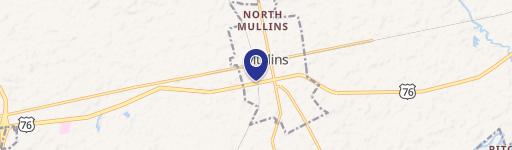 Mullins, SC 29574