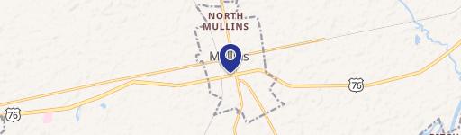 Mullins, SC 29574