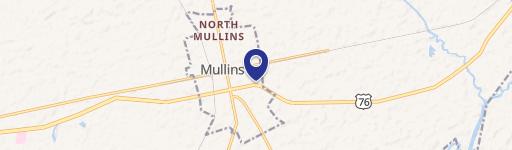 Mullins, SC 29574