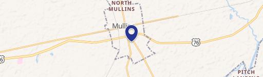 Mullins, SC 29574