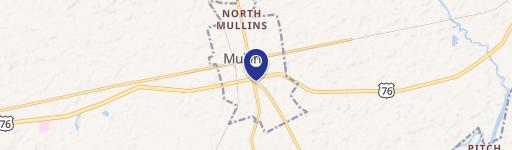 Mullins, SC 29574