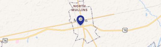Mullins, SC 29574