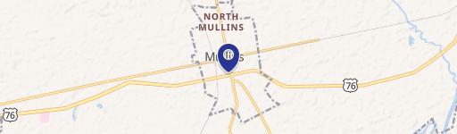 Mullins, SC 29574