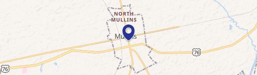 Mullins, SC 29574