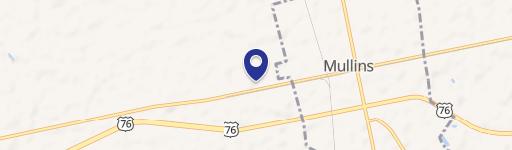 3902 Senator Gasque Rd