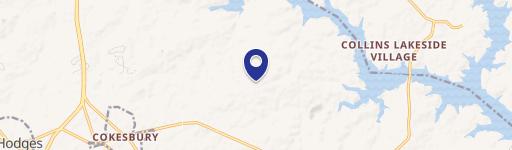 917 Andrews Chapel Rd