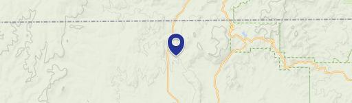 12159 Ave Of The Chiefs