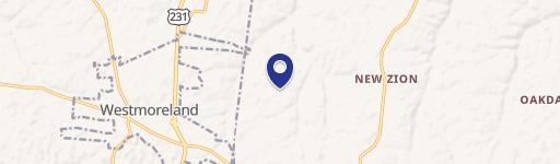 10241 Epperson Spgs Rd