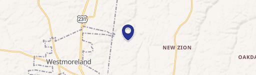 10238 Epperson Spgs Rd