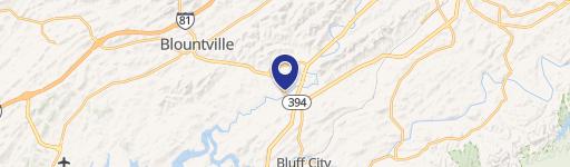 411 Old Thomas Brg Rd