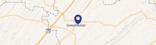 313 Sweetwater Vonore Rd