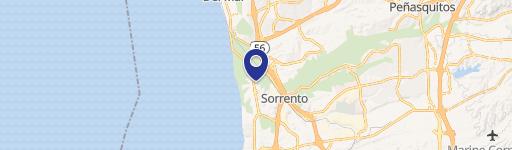 11119 Torrey Pnes Rd