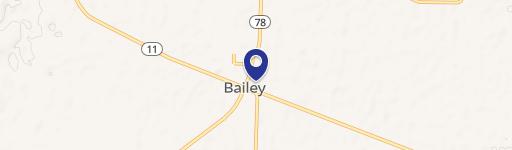 Bailey, TX 75413