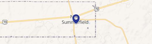 New Summerfield, TX 75780