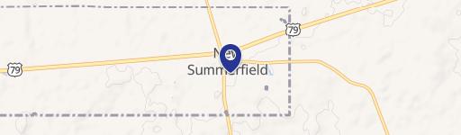 New Summerfield, TX 75780