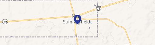 New Summerfield, TX 75780