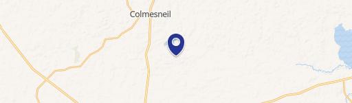 Colmesneil, TX 75938
