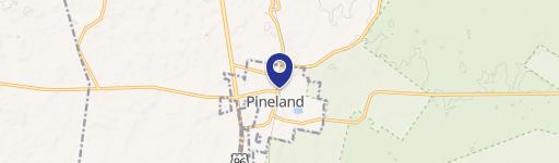 Pineland, TX 75968