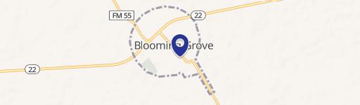 Blooming Grove, TX 76626