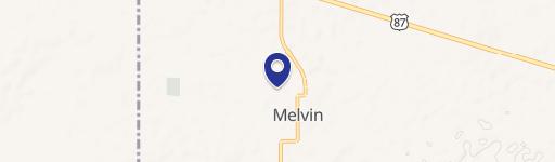 Melvin, TX 76858
