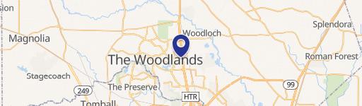 The Woodlands, TX 77380