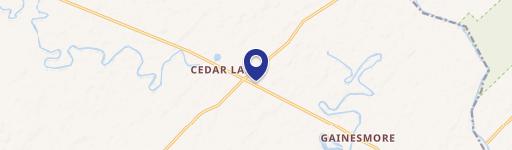 Cedar Lane, TX 77415