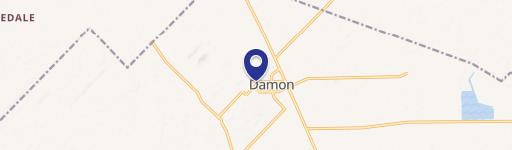 Damon, TX 77430