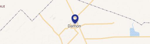 Damon, TX 77430