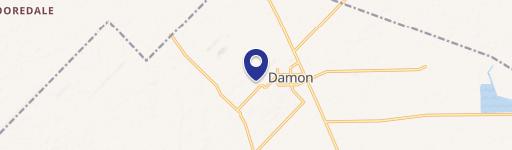 Damon, TX 77430