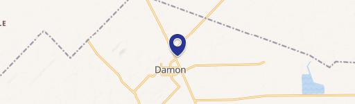 Damon, TX 77430