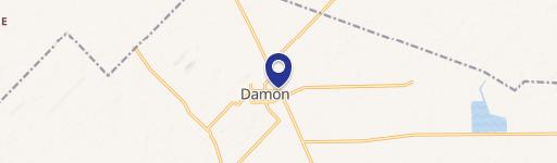 Damon, TX 77430