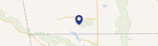 Wildwood Button Willo