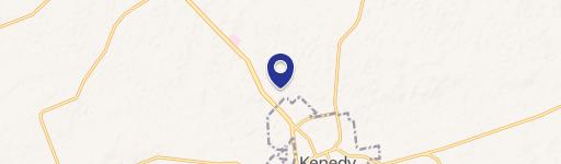 Kenedy, TX 78119